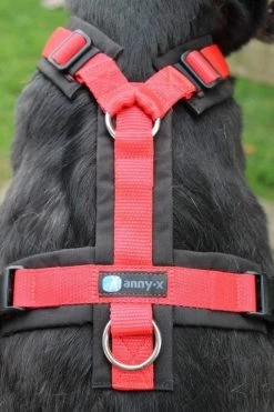 Annyx Hondentuig Harnas Zwart Rood - Y Model - Maat S Is Geschikt Voor Borstomvang 52-64cm. -Dierenwinkel 799x1200 10