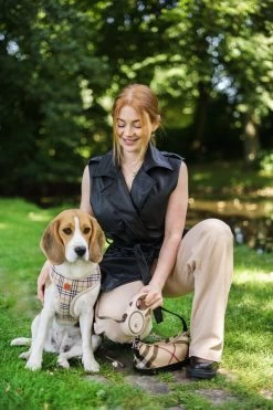 Hondenriem - Leiband Hond - Rollijn - 5 Meter - Beige - Riem Met Oprolsysteem - Hondenriem Flexi - Hondenlijn - Uitlaatriem -Dierenwinkel 800x1200 26