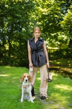 Hondenriem - Leiband Hond - Rollijn - 5 Meter - Beige - Riem Met Oprolsysteem - Hondenriem Flexi - Hondenlijn - Uitlaatriem -Dierenwinkel 800x1200 27