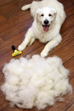 Furminator® Hond Langhaar - Vermindert Haaruitval Tot 90% - Hondenborstel - L -Dierenwinkel 800x1200 6