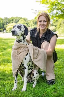 Pepets© – Hondenhanddoek – Honden Handdoek – Microvezel Handdoek – Handdoek Hond – Hondendeken – Droogdoek Hond – Dierendeken – Absorberend – 100*50CM - Beige - GRATIS Zonnebril -Dierenwinkel 800x1200 8