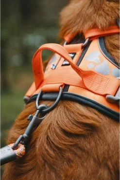 Hurtta Weekend Warrior Harness Zwart Maat - 60-80 -Dierenwinkel 802x1200 8