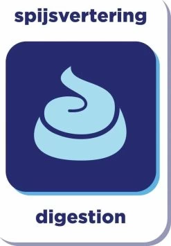 Renske Adult Kalkoen & Eend - Hondenvoer - 2 Kg -Dierenwinkel 834x1200