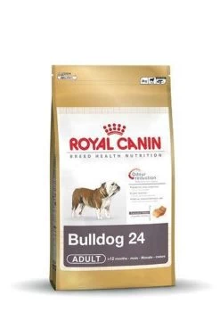 Royal Canin English Bulldog 12 KG -Dierenwinkel 847x1200