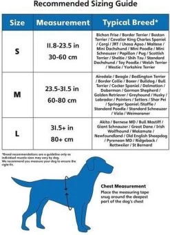 Company Of Animals Halti Harnass - Anti Trektuigje - Hond - Large - Borstomvang Boven De 80 Cm – Zwart -Dierenwinkel 869x1200 8