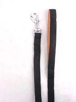 Pawise Lange Trainingslijn – Hondenriem Tot 5m – Brede Band Met Grip – Ideaal Voor Hondentraining – Uitlaatriem Van Hoge Kwaliteit Katoen -Dierenwinkel 893x1200 3