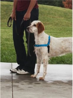 Petsafe Easy Walk® Deluxe Harness - Hondentuigje - Blauw - M - 1,8 M 18 Petsafe Easy Walk® Deluxe Harness - Hondentuigje - Blauw - M - 1,8 M -Dierenwinkel 894x1200 8