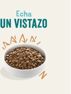 Edgard & Cooper Verse Scharrelkip Adult - Hondenvoer - 7kg 29 Edgard & Cooper Verse Scharrelkip Adult - Hondenvoer - 7kg -Dierenwinkel 900x1200