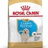 Royal Canin Golden Retriever Junior 12 KG 1 Royal Canin Golden Retriever Junior 12 KG -Dierenwinkel 901x1200