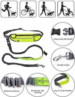 Hondenriem Hardloopriem Elastische Reflecterende Geschikt Voor Hardlopen - Handsfree Riem Met Opbergtasje – Hond Looplijn - Schokabsorberend - Groen -Dierenwinkel 927x1200
