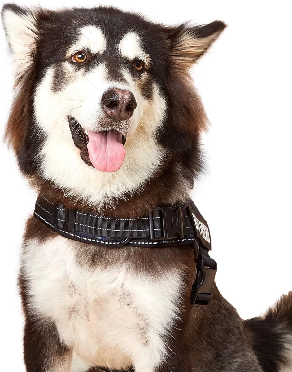 Woofy Hondentuig - Anti Trek - Hondenharnas - Reflecterend - Verstelbaar 6 Woofy Hondentuig - Anti Trek - Hondenharnas - Reflecterend - Verstelbaar - Afbeelding 4