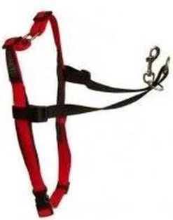 Company Of Animals Halti Harnass Anti Trektuigje - Hond - Small - Borstomvang 30 Tot 60 Cm - Rood -Dierenwinkel 945x1200 1