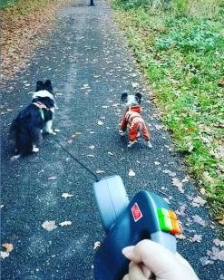 Wigzi Dual Doggie 2.0 Voor Twee Honden - Hondenriem - Grijs - 3m - <22 Kg (per Hond) -Dierenwinkel 960x1200 3