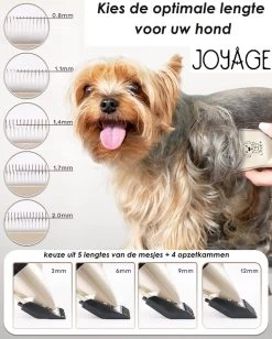 Joyage Professionele Hondentondeuse Voor Dikke Vacht – Honden Tondeuse & Hondentrimmer Tondeuse – Stille Tondeuse Katten & Honden Trimset Lang Haar – Trimmer Hond - Hondentondeuse Draadloos - Tondeuse Voor Honden - Tondeuse Hond Dikke Vacht 11 Joyage Professionele Hondentondeuse Voor Dikke Vacht – Honden Tondeuse & Hondentrimmer Tondeuse – Stille Tondeuse Katten & Honden Trimset Lang Haar – Trimmer Hond - Hondentondeuse Draadloos - Tondeuse Voor Honden - Tondeuse Hond Dikke Vacht -Dierenwinkel 962x1200 3