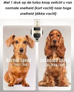Joyage Professionele Hondentondeuse Voor Dikke Vacht – Honden Tondeuse & Hondentrimmer Tondeuse – Stille Tondeuse Katten & Honden Trimset Lang Haar – Trimmer Hond - Hondentondeuse Draadloos - Tondeuse Voor Honden - Tondeuse Hond Dikke Vacht 12 Joyage Professionele Hondentondeuse Voor Dikke Vacht – Honden Tondeuse & Hondentrimmer Tondeuse – Stille Tondeuse Katten & Honden Trimset Lang Haar – Trimmer Hond - Hondentondeuse Draadloos - Tondeuse Voor Honden - Tondeuse Hond Dikke Vacht -Dierenwinkel 962x1200 4