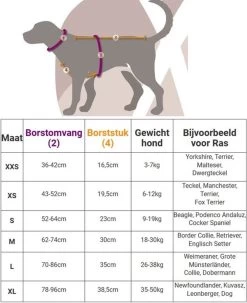 Anny.X Hondentuig Y Tuig Bruin Barnsteen Maat L Geschikt Voor Borstomvang 70-86cm -Dierenwinkel 977x1200 3