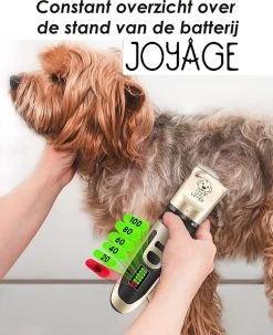 Joyage Professionele Hondentondeuse Voor Dikke Vacht – Honden Tondeuse & Hondentrimmer Tondeuse – Stille Tondeuse Katten & Honden Trimset Lang Haar – Trimmer Hond - Hondentondeuse Draadloos - Tondeuse Voor Honden - Tondeuse Hond Dikke Vacht 13 Joyage Professionele Hondentondeuse Voor Dikke Vacht – Honden Tondeuse & Hondentrimmer Tondeuse – Stille Tondeuse Katten & Honden Trimset Lang Haar – Trimmer Hond - Hondentondeuse Draadloos - Tondeuse Voor Honden - Tondeuse Hond Dikke Vacht -Dierenwinkel 979x1200 1