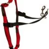 Company Of Animals Halti Harnass Hondentuigje - Anti Trektuigje - M - 60 Tot 80 Cm – Zwart -Dierenwinkel 980x1200 2