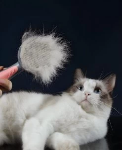 Pakeway T9 - Kattenborstel - Zelfreinigende Kattenkam - Groen - Massageborstel - 19,3 Cm -Dierenwinkel 983x1200