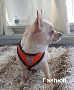 Luxyana® Hondentuigje - S - 28-32cm - Geschikt Voor Kleine Honden En Als Kattenharnas - Easy Step-in Hondentuigje Voor De Kleine Hond Of Kat - Inclusief Bijpassend Riempje - Zwart -Dierenwinkel 992x1200 5