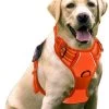 Sharon B - Hondentuigje - Voor Middelgrote Honden - Oranje - Maat M - No Pull - Anti Trek - Reflecterend - Hoeft Niet Over Het Hoofd Aangetrokken Te Worden 2 Sharon B - Hondentuigje - Voor Middelgrote Honden - Oranje - Maat M - No Pull - Anti Trek - Reflecterend - Hoeft Niet Over Het Hoofd Aangetrokken Te Worden -Dierenwinkel 999x1200 20
